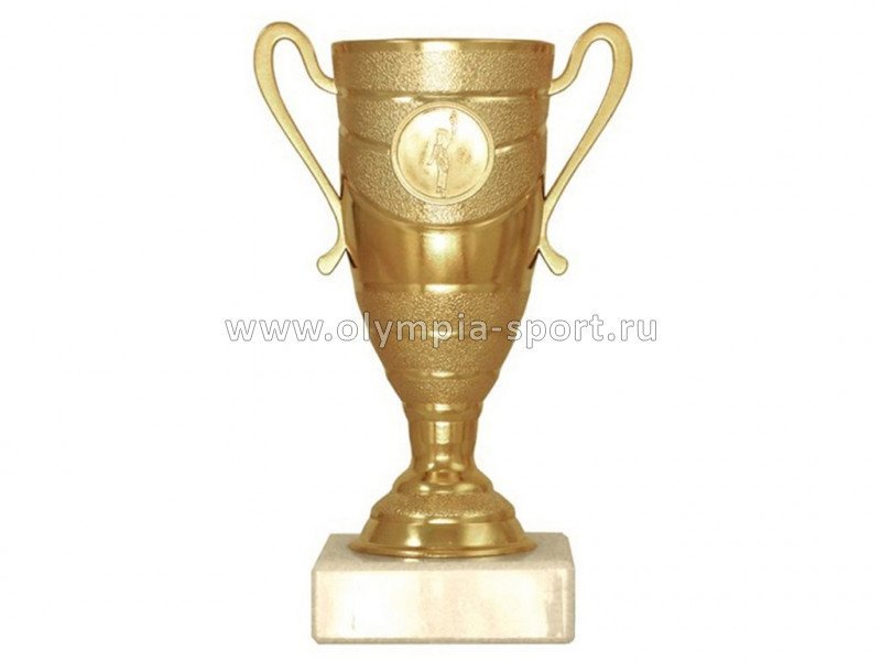 Кубок P144A (1)